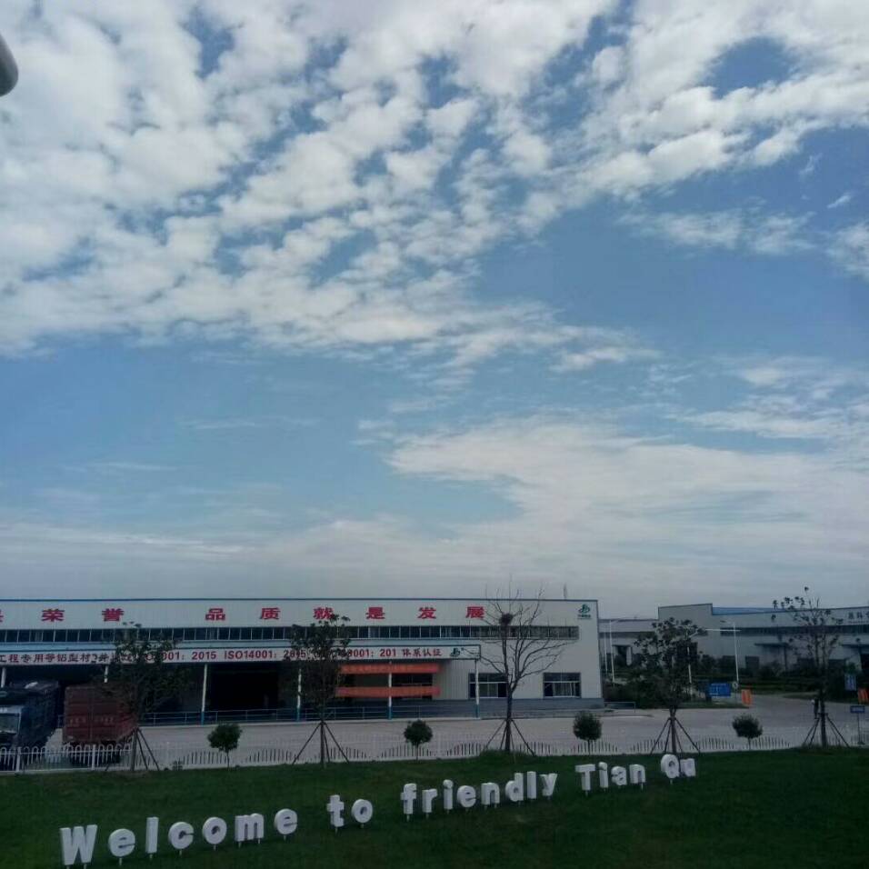 山东MG不朽情缘铝业VOCSs检测信息报告